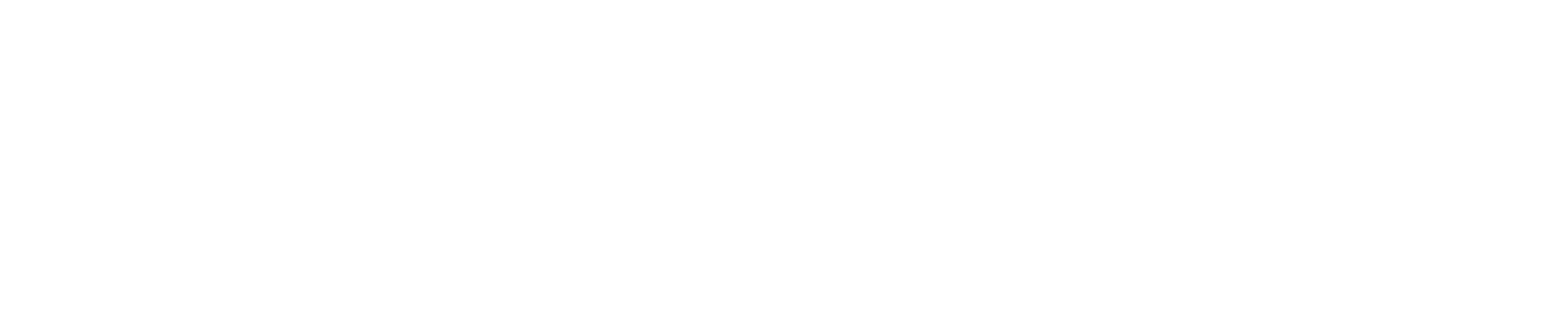 PlayPlay logo 2022 white